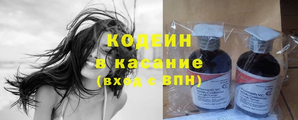 прущие грибы Краснотурьинск