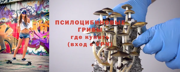 а пвп мука Костерёво